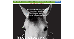 Desktop Screenshot of hayusa.net